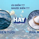 nuoc bien tuoi nuoc bien pha muoi